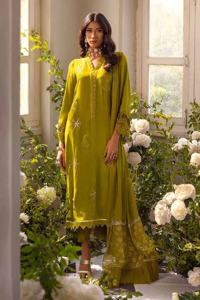 Afsaneh Fern - Shirt and Dupatta