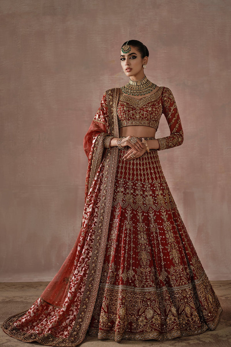 Classic Red and Gold Farshi Gharara Bridal (D-03)