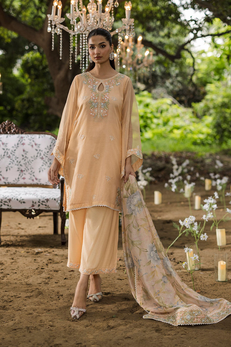 Ss25Du-3207 Peach 3Pcs