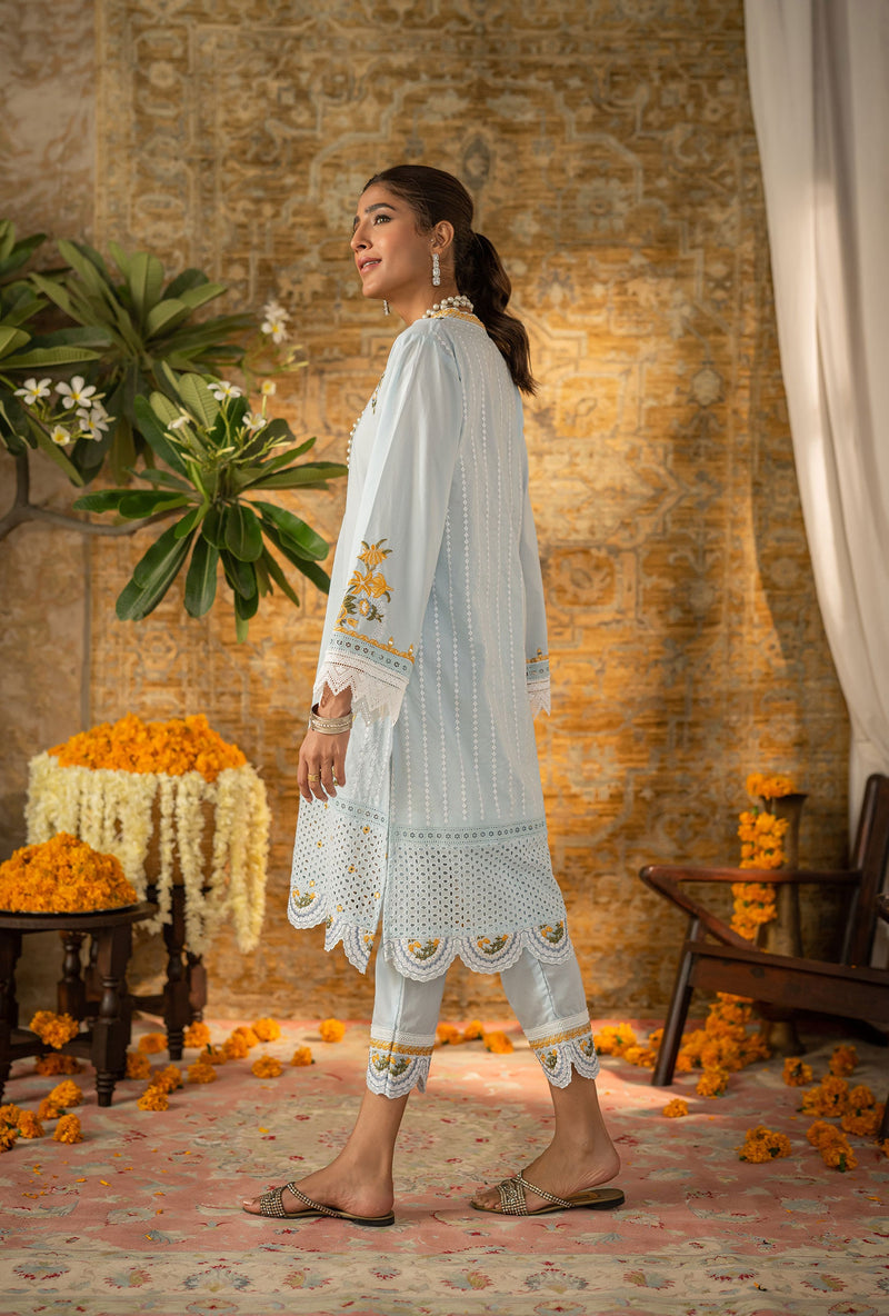 Dc-2058 Sky Blue 2Pcs Embroidered Kurta With Trouser