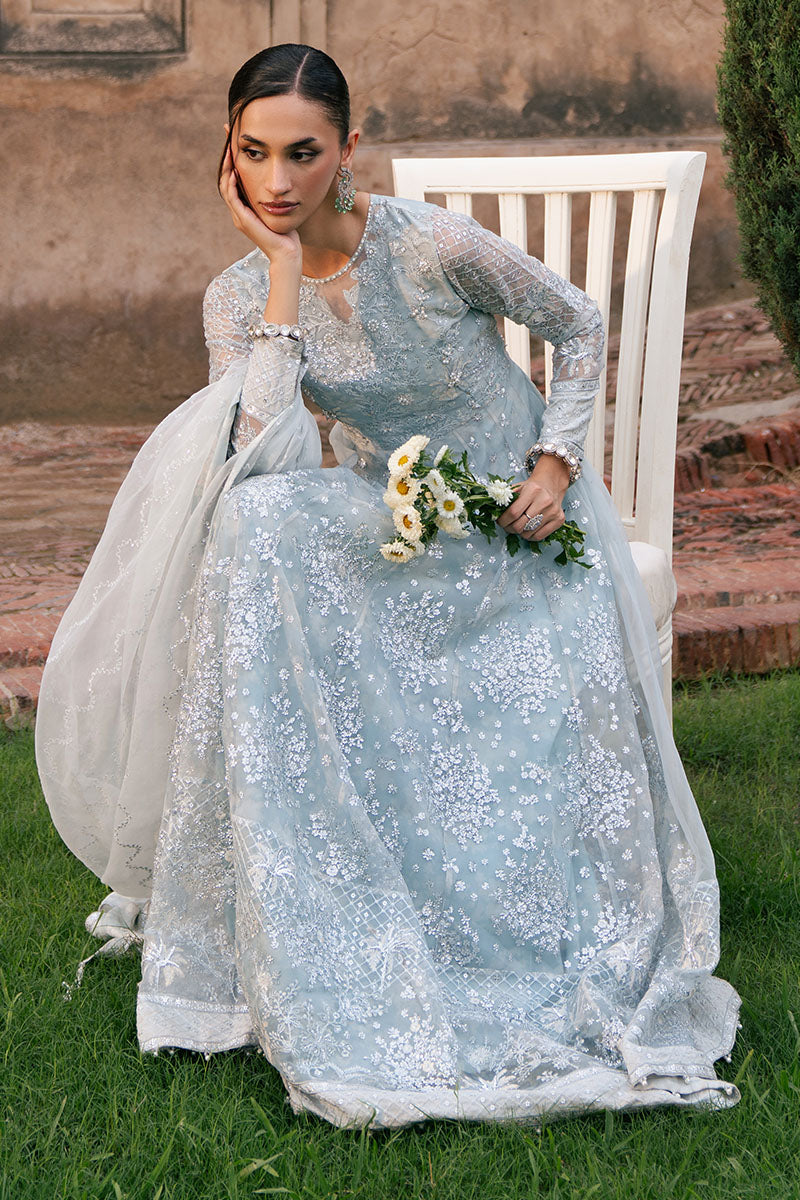 Royal Glint-2Pc Organza Embroidered Pret
