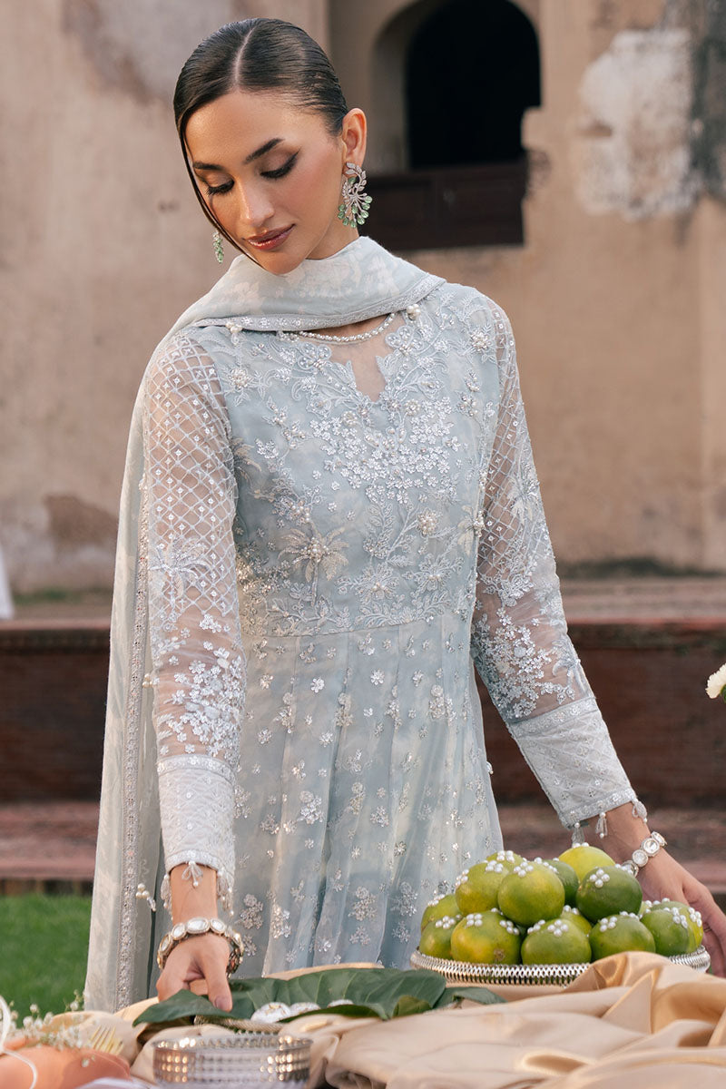 Royal Glint-2Pc Organza Embroidered Pret
