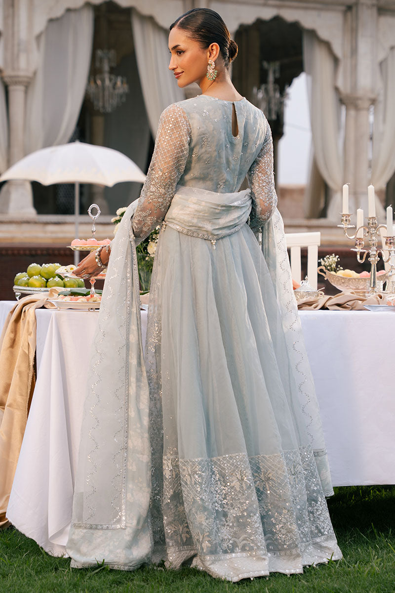 Royal Glint-2Pc Organza Embroidered Pret