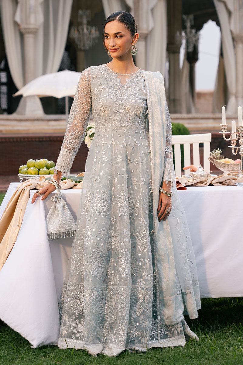 Royal Glint-2Pc Organza Embroidered Pret